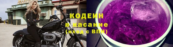 ECSTASY Майский