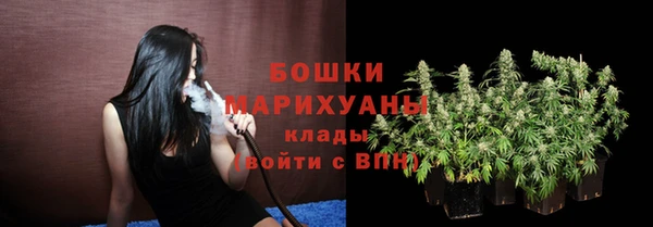 прущие крисы Магас