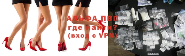 прущие крисы Магас