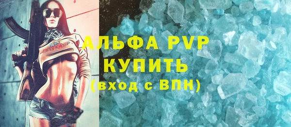 ECSTASY Майский