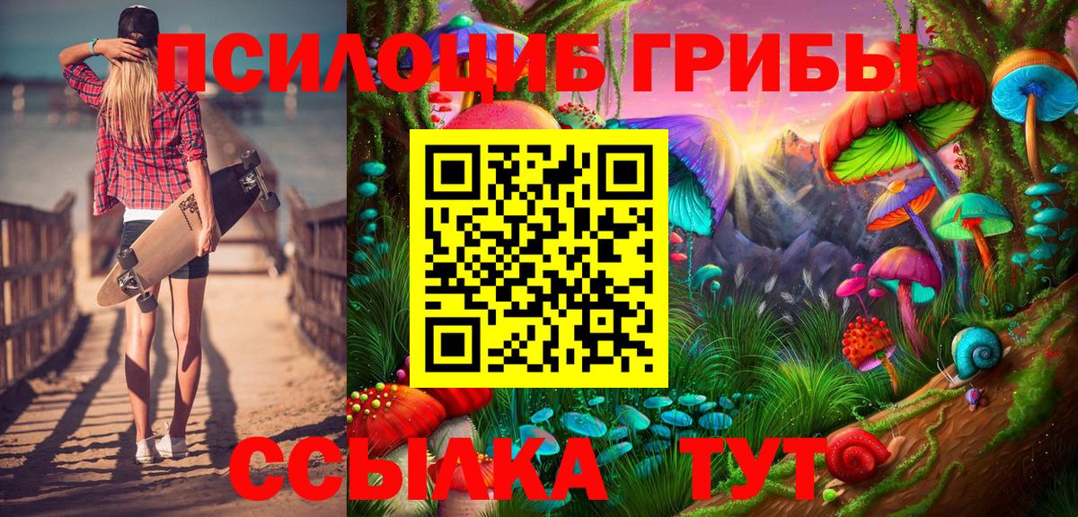 Галлюциногенные грибы Psilocybe Каменск-Уральский
