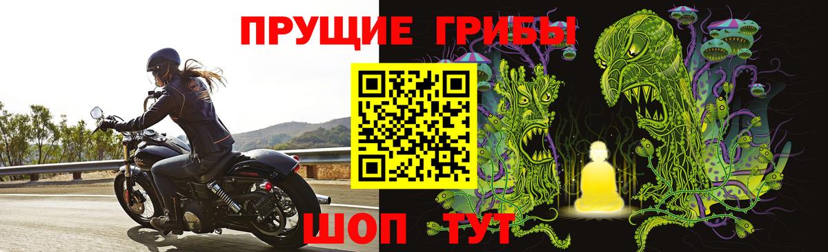 Псилоцибиновые грибы Cubensis  Каменск-Уральский 