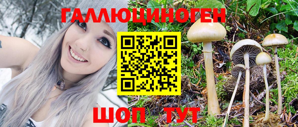Псилоцибиновые грибы Psilocybine cubensis  Псилоцибиновые грибы мицелий  Каменск-Уральский  Вход с VPN 